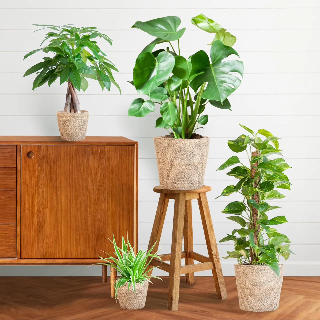 Easy Care Plantenbox bij Wouter de Groene Boer