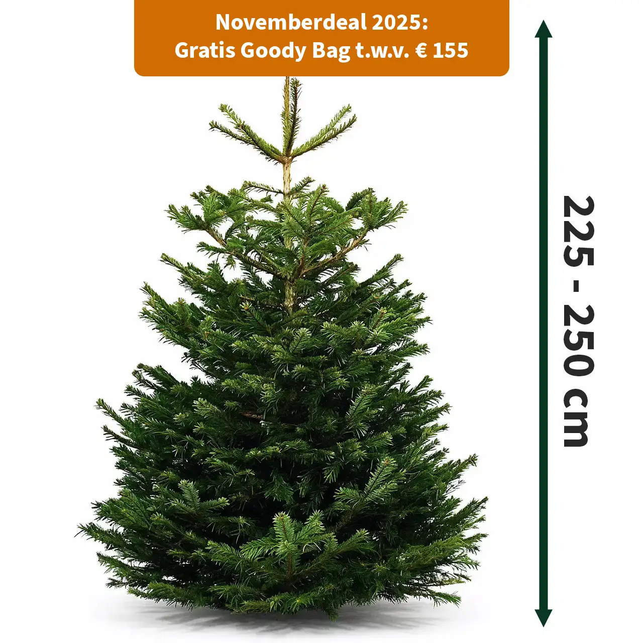 Nordmann 225-250 + deal