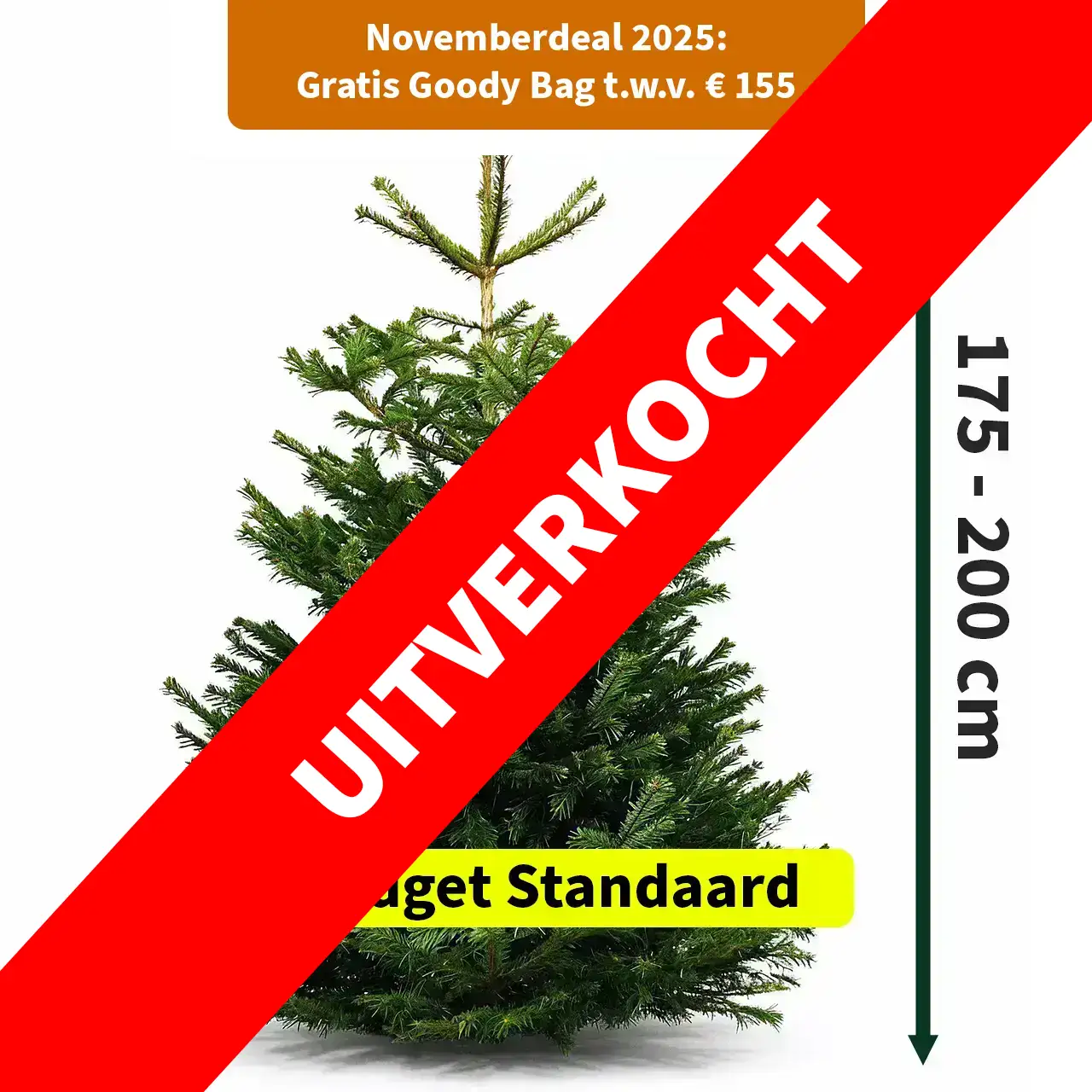 Nordmann 175-200 + deal budget standaard uitverkocht
