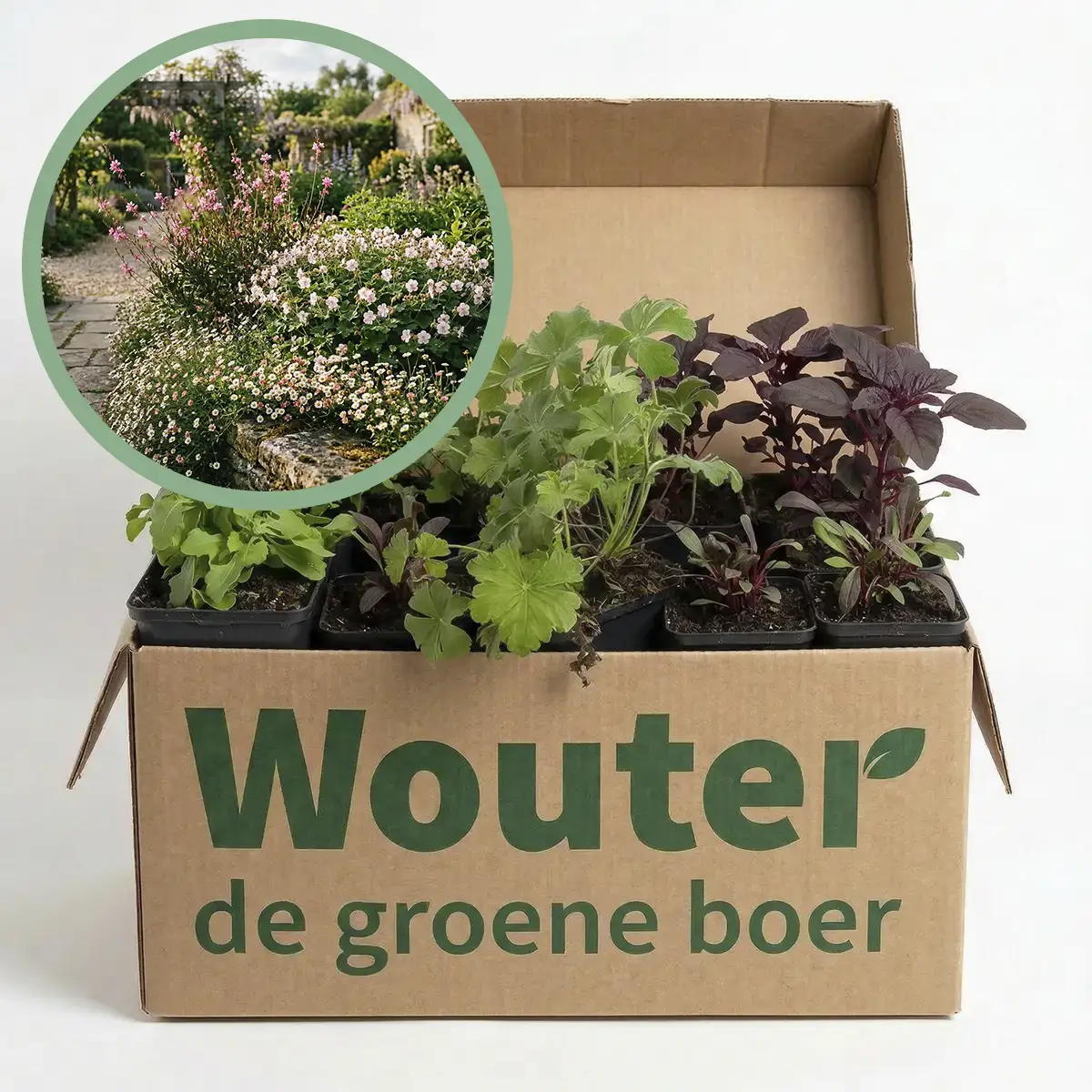 Balkonpakket Romantic - Borderpakketten | Wouter de Groene Boer